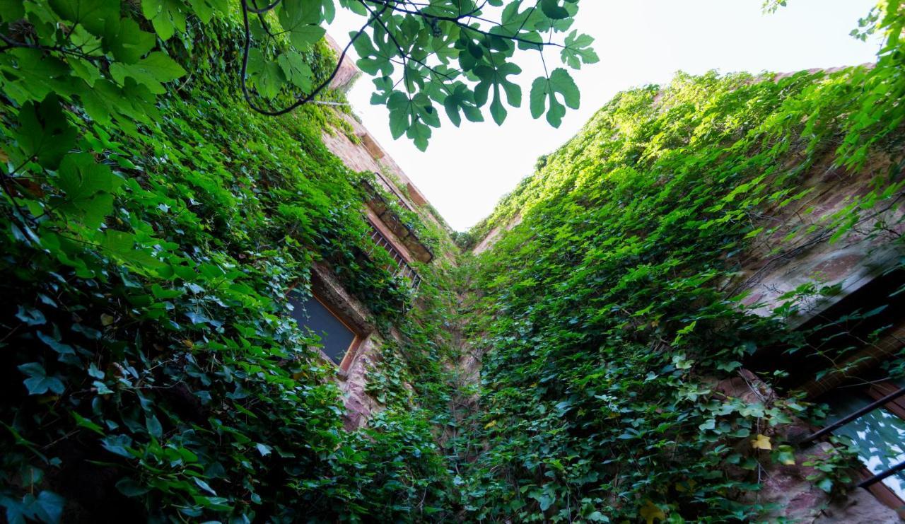 El Jardin Vertical วิลาฟาเมส ภายนอก รูปภาพ