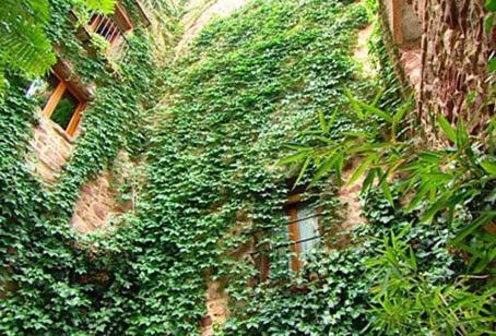 El Jardin Vertical วิลาฟาเมส ภายนอก รูปภาพ
